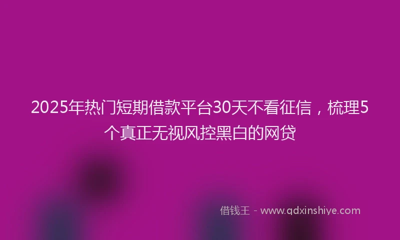 2025年热门短期借款平台30天不看征信，梳理5个真正无视风控黑白的网贷