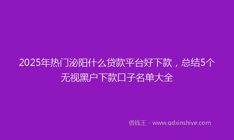 2025年热门泌阳什么贷款平台好下款，总结5个无视黑户下款口子名单大全
