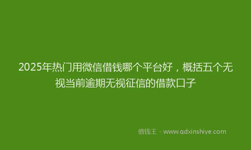 2025年热门用微信借钱哪个平台好，概括五个无视当前逾期无视征信的借款口子