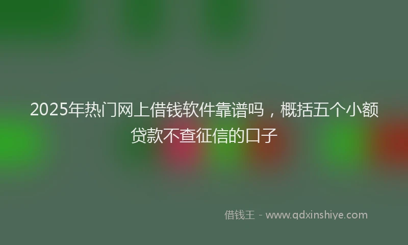 2025年热门网上借钱软件靠谱吗，概括五个小额贷款不查征信的口子