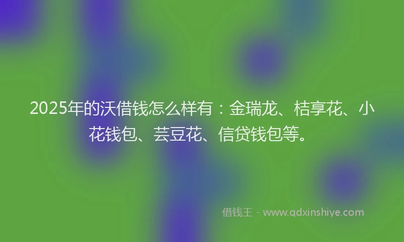 2025年的沃借钱怎么样有：金瑞龙、桔享花、小花钱包、芸豆花、信贷钱包等。
