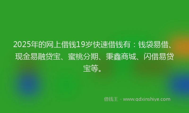 2025年的网上借钱19岁快速借钱有：钱袋易借、现金易融贷宝、蜜桃分期、秉鑫商城、闪借易贷宝等。