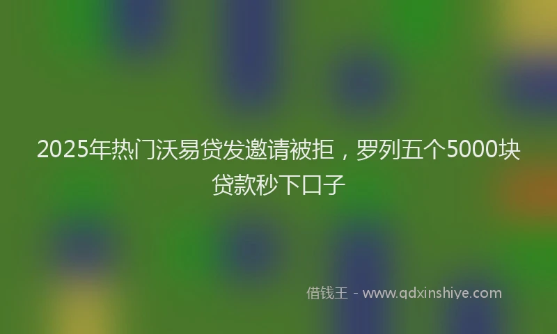 2025年热门沃易贷发邀请被拒，罗列五个5000块贷款秒下口子