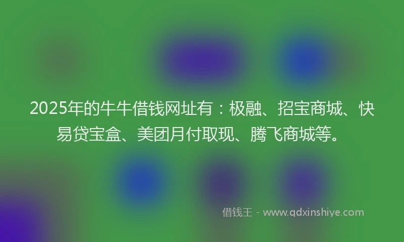 2025年的牛牛借钱网址有：极融、招宝商城、快易贷宝盒、美团月付取现、腾飞商城等。