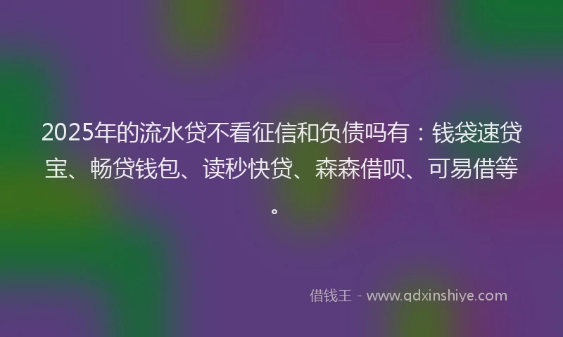 2025年的流水贷不看征信和负债吗有：钱袋速贷宝、畅贷钱包、读秒快贷、森森借呗、可易借等。