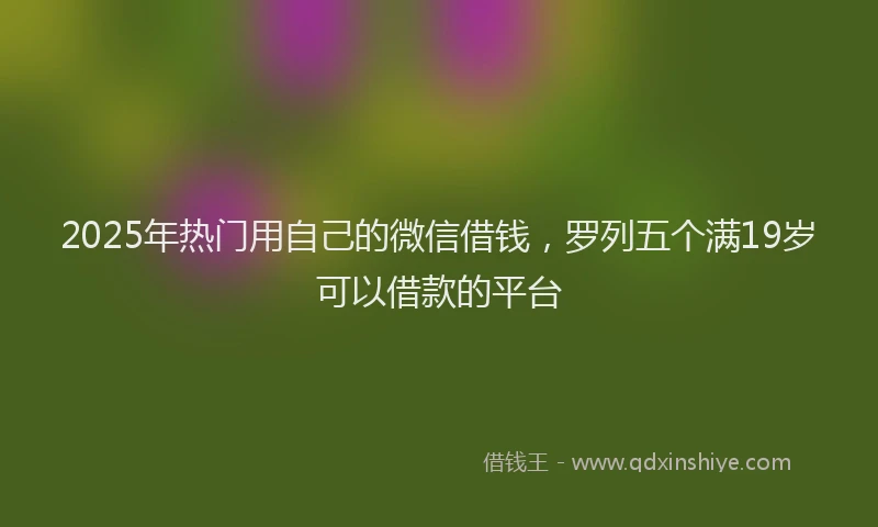 2025年热门用自己的微信借钱，罗列五个满19岁可以借款的平台