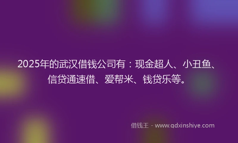 2025年的武汉借钱公司有：现金超人、小丑鱼、信贷通速借、爱帮米、钱贷乐等。