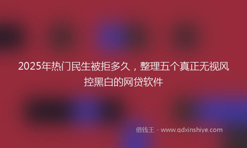 2025年热门民生被拒多久，整理五个真正无视风控黑白的网贷软件