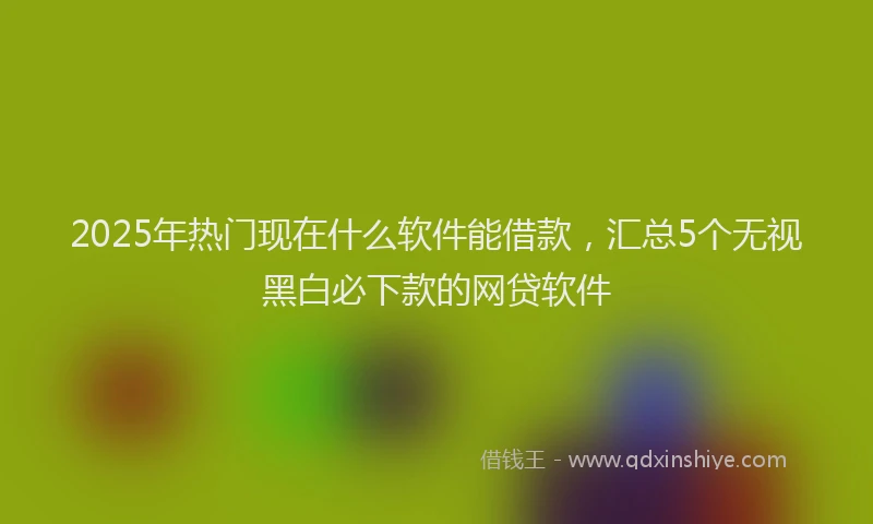 2025年热门现在什么软件能借款，汇总5个无视黑白必下款的网贷软件