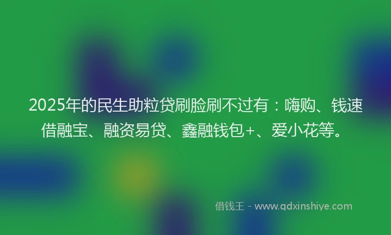 2025年的民生助粒贷刷脸刷不过有：嗨购、钱速借融宝、融资易贷、鑫融钱包+、爱小花等。