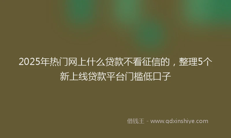 2025年热门网上什么贷款不看征信的，整理5个新上线贷款平台门槛低口子