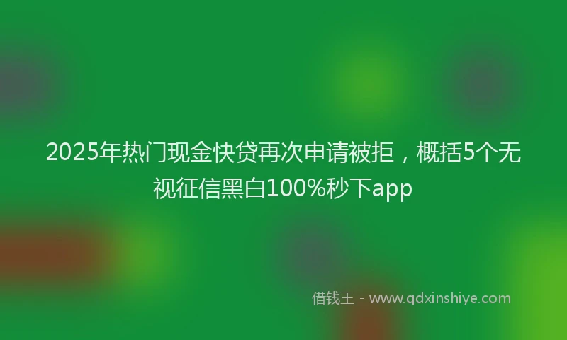 2025年热门现金快贷再次申请被拒，概括5个无视征信黑白100%秒下app