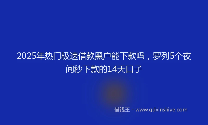 2025年热门极速借款黑户能下款吗，罗列5个夜间秒下款的14天口子