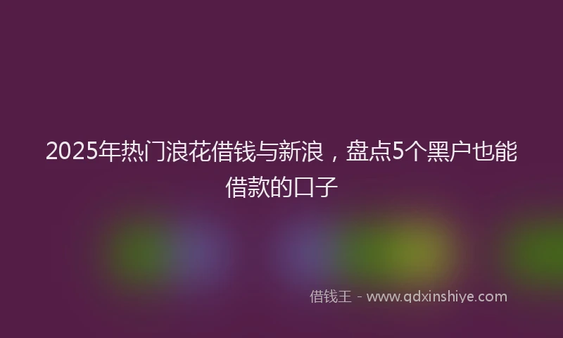 2025年热门浪花借钱与新浪，盘点5个黑户也能借款的口子