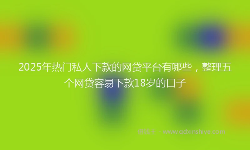 2025年热门私人下款的网贷平台有哪些，整理五个网贷容易下款18岁的口子