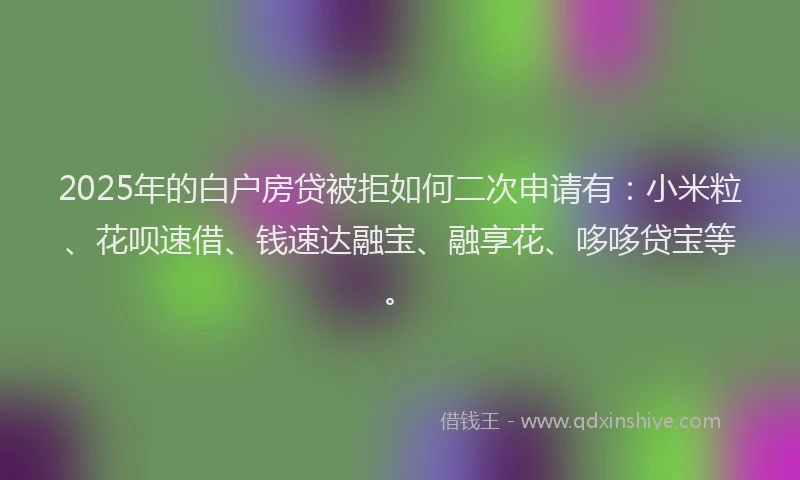 2025年的白户房贷被拒如何二次申请有：小米粒、花呗速借、钱速达融宝、融享花、哆哆贷宝等。
