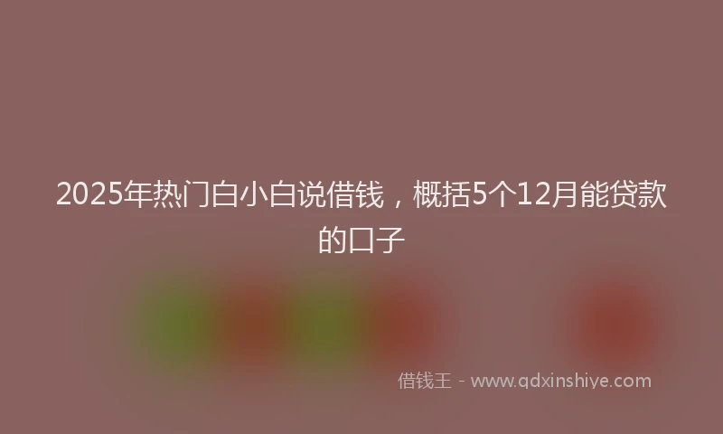 2025年热门白小白说借钱，概括5个12月能贷款的口子