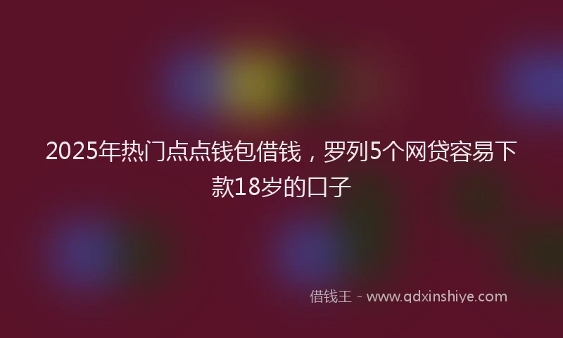 2025年热门点点钱包借钱，罗列5个网贷容易下款18岁的口子