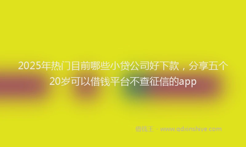 2025年热门目前哪些小贷公司好下款，分享五个20岁可以借钱平台不查征信的app