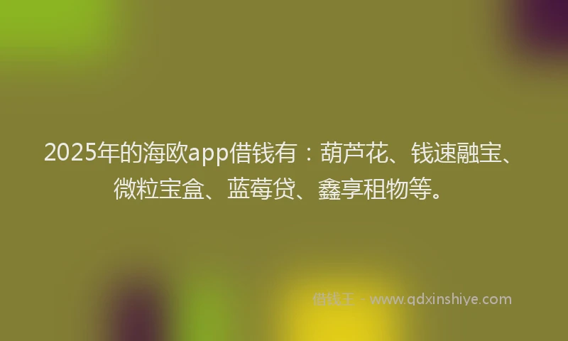 2025年的海欧app借钱有：葫芦花、钱速融宝、微粒宝盒、蓝莓贷、鑫享租物等。