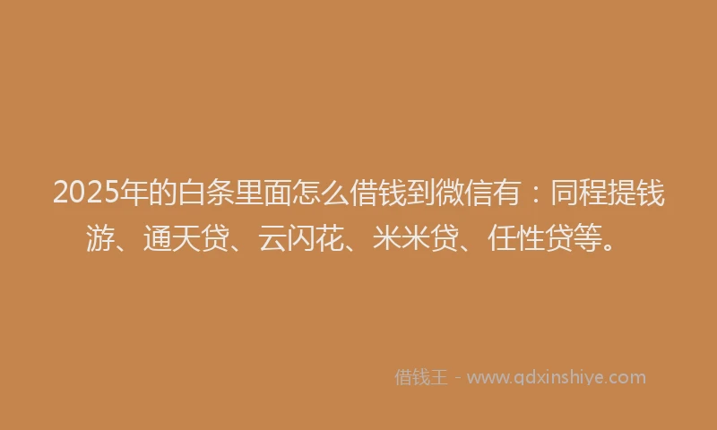 2025年的白条里面怎么借钱到微信有：同程提钱游、通天贷、云闪花、米米贷、任性贷等。