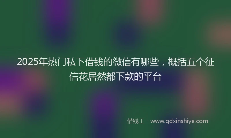 2025年热门私下借钱的微信有哪些，概括五个征信花居然都下款的平台