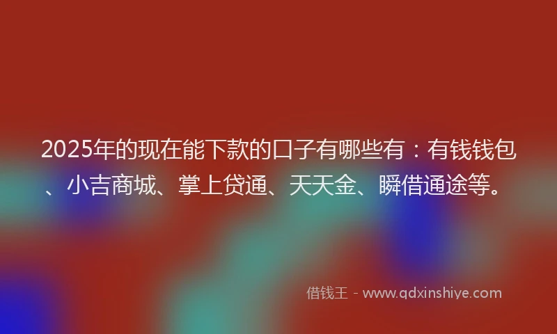 2025年的现在能下款的口子有哪些有：有钱钱包、小吉商城、掌上贷通、天天金、瞬借通途等。