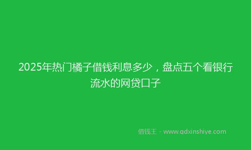 2025年热门橘子借钱利息多少，盘点五个看银行流水的网贷口子