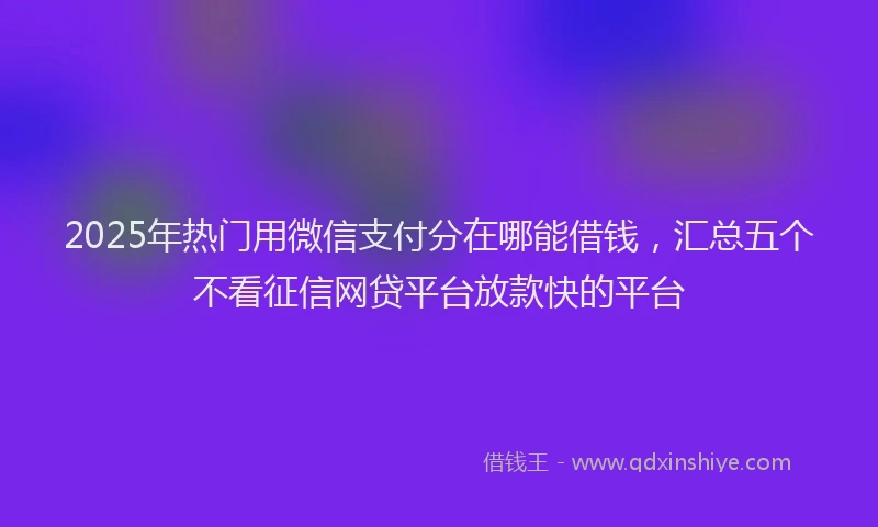 2025年热门用微信支付分在哪能借钱，汇总五个不看征信网贷平台放款快的平台