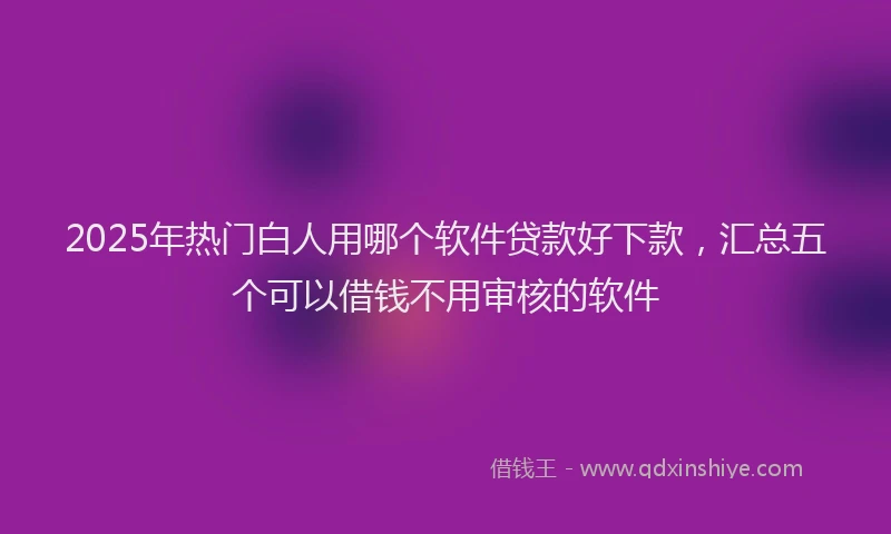 2025年热门白人用哪个软件贷款好下款，汇总五个可以借钱不用审核的软件