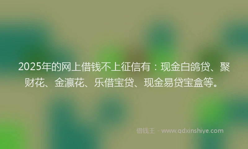2025年的网上借钱不上征信有：现金白鸽贷、聚财花、金瀛花、乐借宝贷、现金易贷宝盒等。