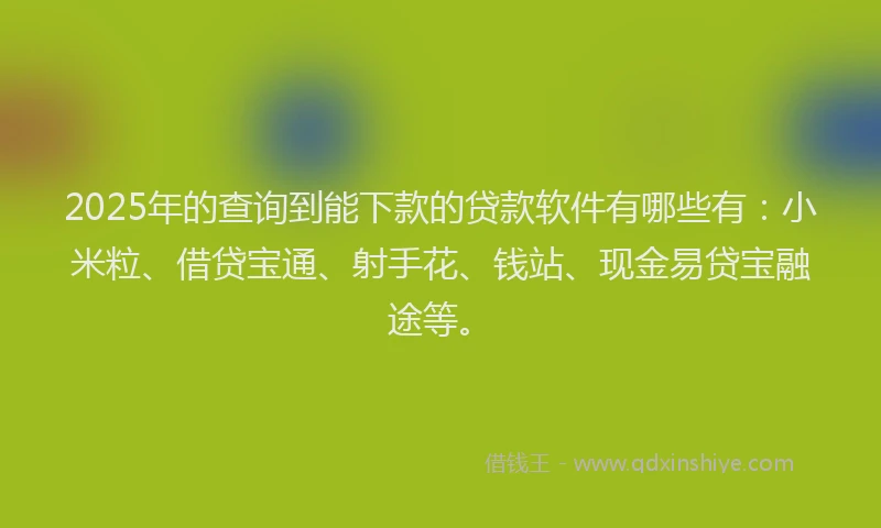 2025年的查询到能下款的贷款软件有哪些有：小米粒、借贷宝通、射手花、钱站、现金易贷宝融途等。