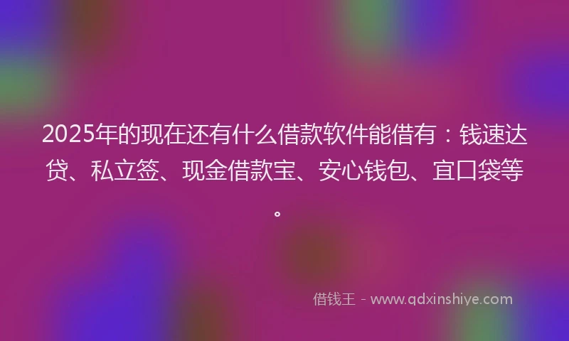 2025年的现在还有什么借款软件能借有：钱速达贷、私立签、现金借款宝、安心钱包、宜口袋等。