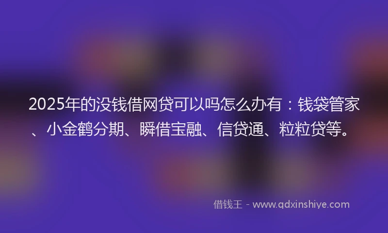 2025年的没钱借网贷可以吗怎么办有：钱袋管家、小金鹤分期、瞬借宝融、信贷通、粒粒贷等。