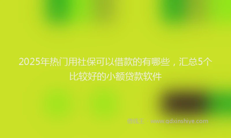 2025年热门用社保可以借款的有哪些，汇总5个比较好的小额贷款软件