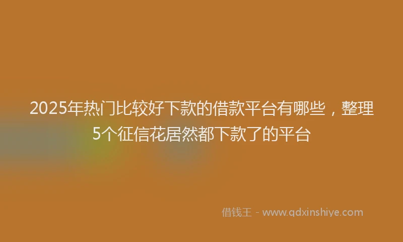 2025年热门比较好下款的借款平台有哪些，整理5个征信花居然都下款了的平台