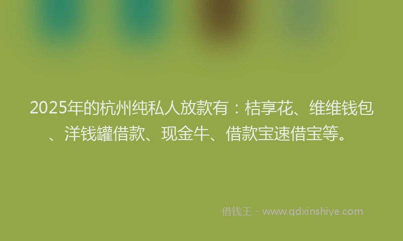 2025年的杭州纯私人放款有：桔享花、维维钱包、洋钱罐借款、现金牛、借款宝速借宝等。
