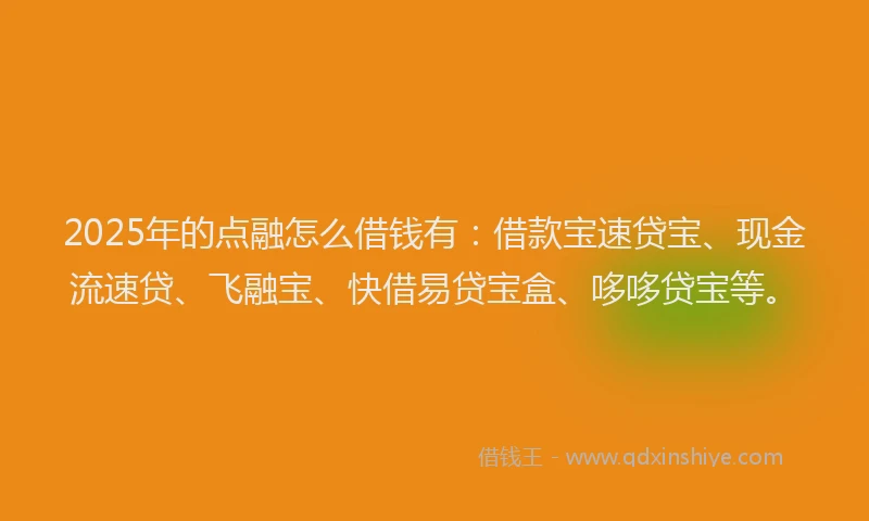 2025年的点融怎么借钱有：借款宝速贷宝、现金流速贷、飞融宝、快借易贷宝盒、哆哆贷宝等。