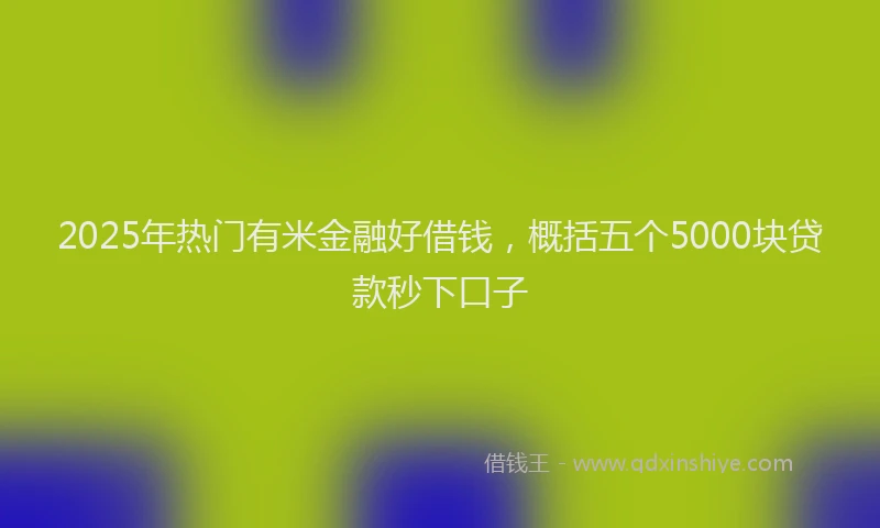 2025年热门有米金融好借钱，概括五个5000块贷款秒下口子