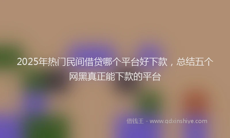 2025年热门民间借贷哪个平台好下款，总结五个网黑真正能下款的平台
