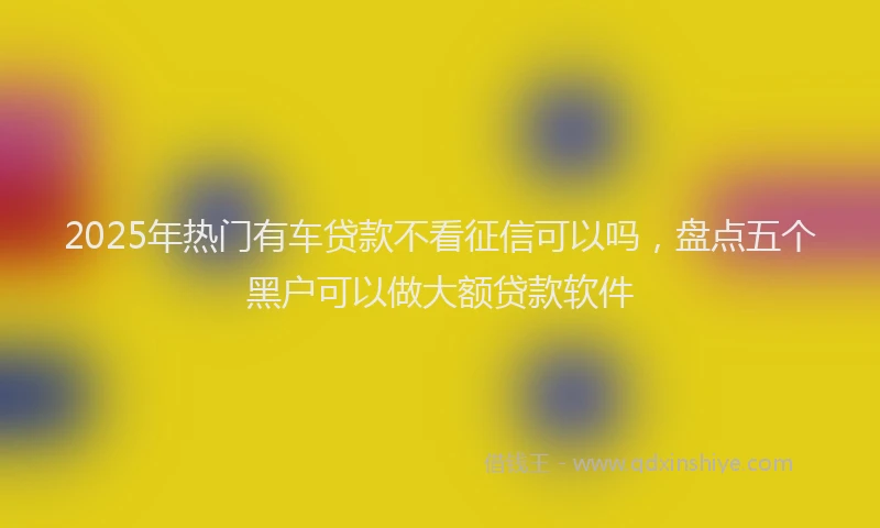 2025年热门有车贷款不看征信可以吗，盘点五个黑户可以做大额贷款软件