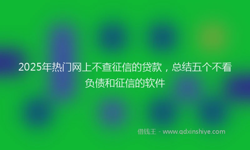 2025年热门网上不查征信的贷款，总结五个不看负债和征信的软件