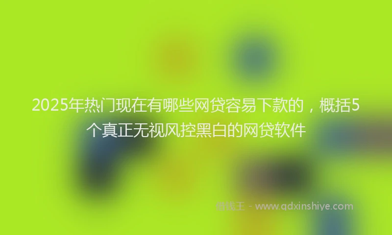2025年热门现在有哪些网贷容易下款的，概括5个真正无视风控黑白的网贷软件