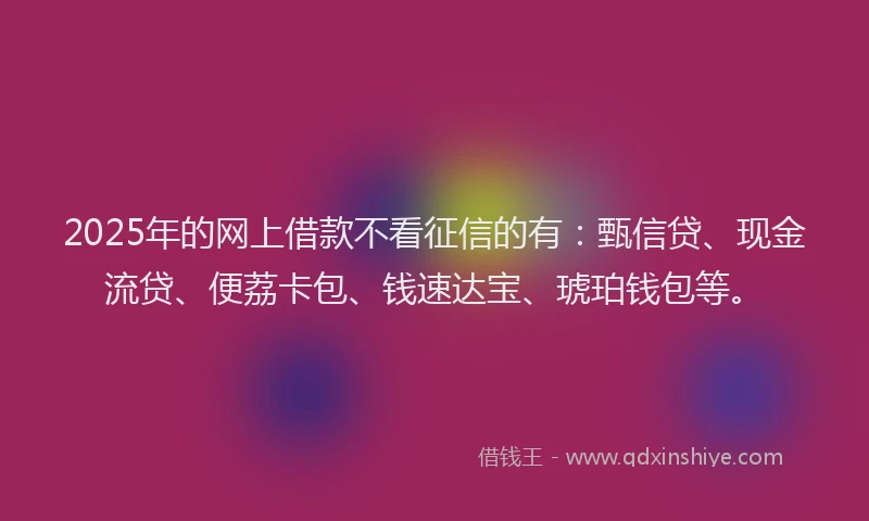 2025年的网上借款不看征信的有：甄信贷、现金流贷、便荔卡包、钱速达宝、琥珀钱包等。