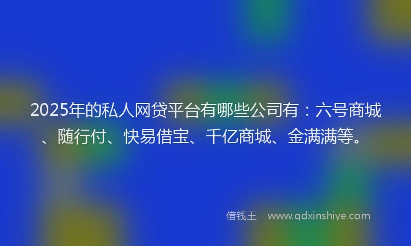 2025年的私人网贷平台有哪些公司有：六号商城、随行付、快易借宝、千亿商城、金满满等。