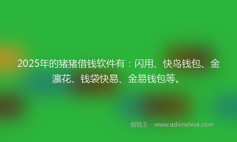 2025年的猪猪借钱软件有：闪用、快鸟钱包、金瀛花、钱袋快易、金易钱包等。