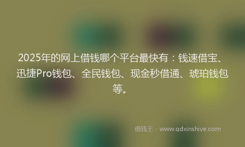 2025年的网上借钱哪个平台最快有：钱速借宝、迅捷Pro钱包、全民钱包、现金秒借通、琥珀钱包等。
