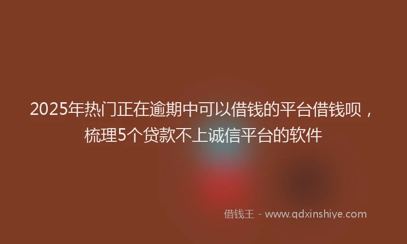 2025年热门正在逾期中可以借钱的平台借钱呗，梳理5个贷款不上诚信平台的软件