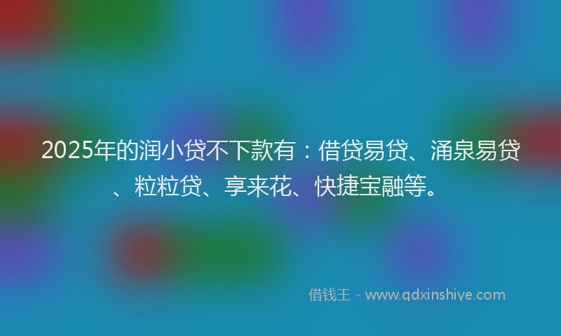 2025年的润小贷不下款有：借贷易贷、涌泉易贷、粒粒贷、享来花、快捷宝融等。