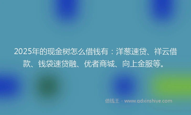 2025年的现金树怎么借钱有：洋葱速贷、祥云借款、钱袋速贷融、优者商城、向上金服等。
